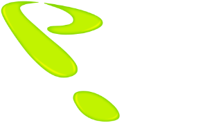 Paragon Law Website Logo